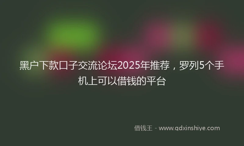 黑户下款口子交流论坛2025年推荐，罗列5个手机上可以借钱的平台