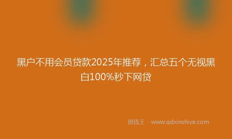 黑户不用会员贷款2025年推荐，汇总五个无视黑白100%秒下网贷