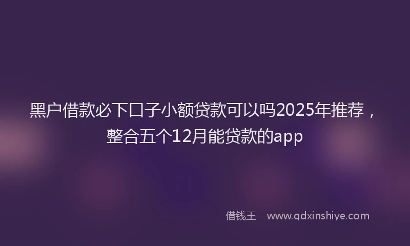 黑户借款必下口子小额贷款可以吗2025年推荐，整合五个12月能贷款的app