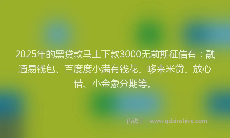 2025年的黑贷款马上下款3000无前期征信有：融通易钱包、百度度小满有钱花、哆来米贷、放心借、小金象分期等。