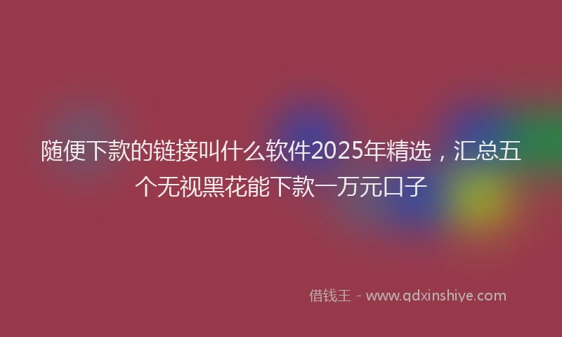 随便下款的链接叫什么软件2025年精选，汇总五个无视黑花能下款一万元口子