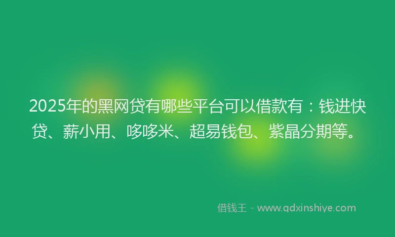 2025年的黑网贷有哪些平台可以借款有：钱进快贷、薪小用、哆哆米、超易钱包、紫晶分期等。
