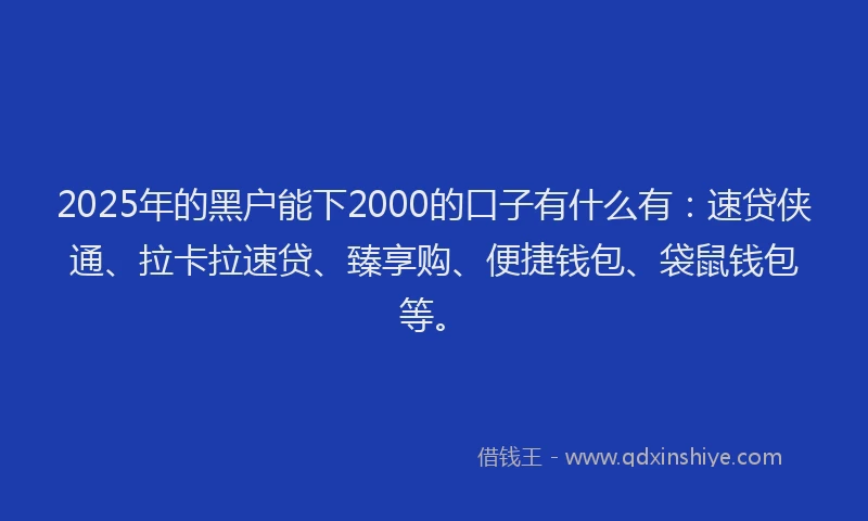 2025年的黑户能下2000的口子有什么有：速贷侠通、拉卡拉速贷、臻享购、便捷钱包、袋鼠钱包等。