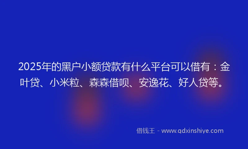 2025年的黑户小额贷款有什么平台可以借有：金叶贷、小米粒、森森借呗、安逸花、好人贷等。