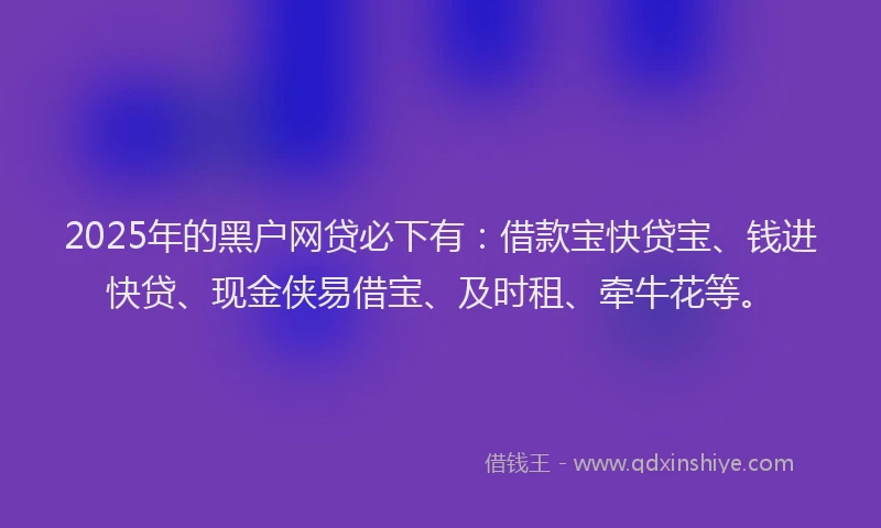 2025年的黑户网贷必下有:借款宝快贷宝、钱进快贷、现金侠易借宝、及时租、牵牛花等。