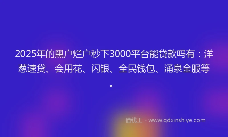 2025年的黑户烂户秒下3000平台能贷款吗有：洋葱速贷、会用花、闪银、全民钱包、涌泉金服等。