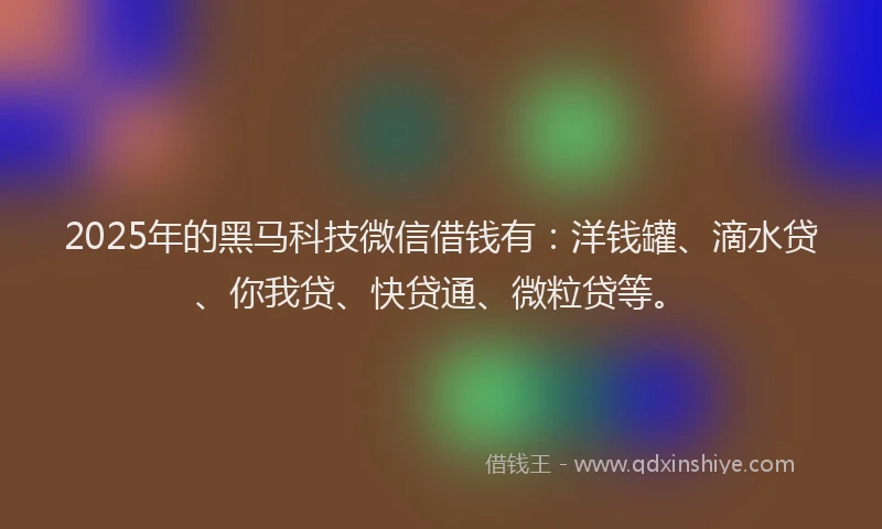 2025年的黑马科技微信借钱有：洋钱罐、滴水贷、你我贷、快贷通、微粒贷等。