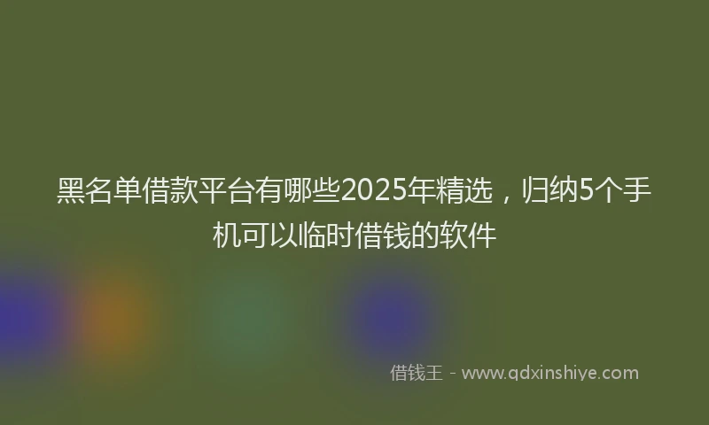 黑名单借款平台有哪些2025年精选，归纳5个手机可以临时借钱的软件