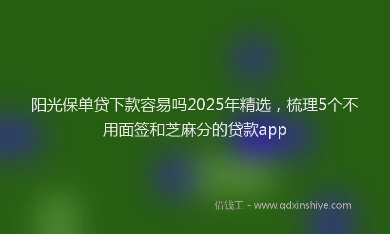 阳光保单贷下款容易吗2025年精选，梳理5个不用面签和芝麻分的贷款app