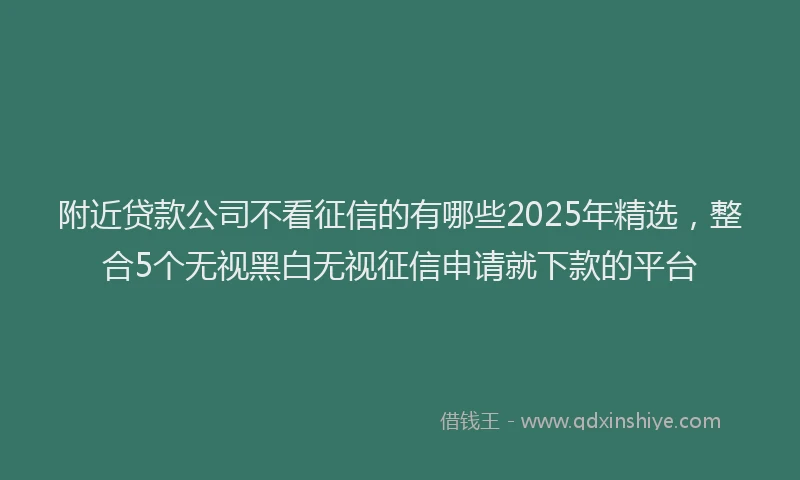 附近贷款公司不看征信的有哪些2025年精选，整合5个无视黑白无视征信申请就下款的平台