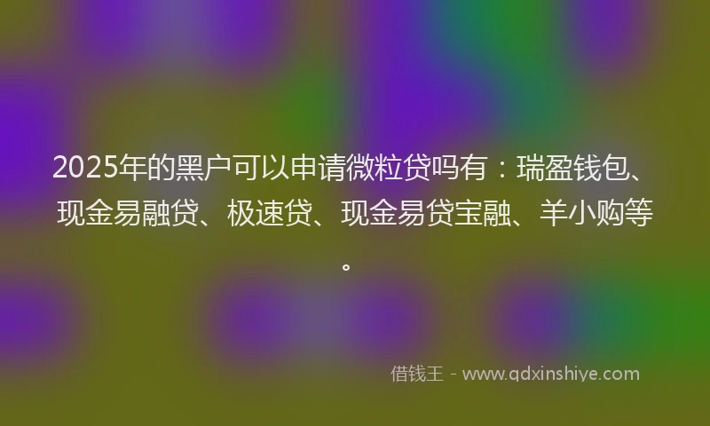 2025年的黑户可以申请微粒贷吗有：瑞盈钱包、现金易融贷、极速贷、现金易贷宝融、羊小购等。
