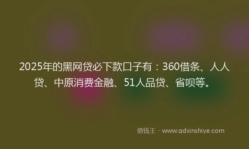 2025年的黑网贷必下款口子有：360借条、人人贷、中原消费金融、51人品贷、省呗等。