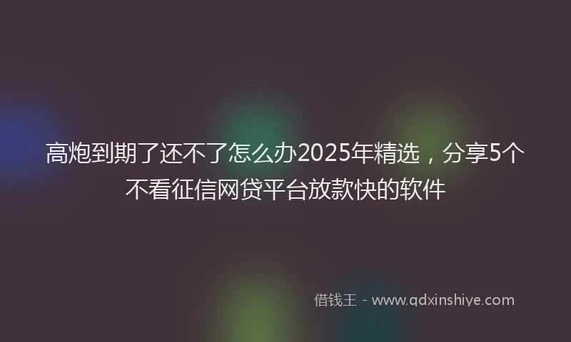 高炮到期了还不了怎么办2025年精选，分享5个不看征信网贷平台放款快的软件