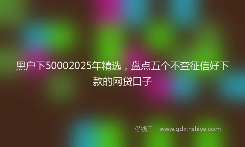 黑户下50002025年精选，盘点五个不查征信好下款的网贷口子