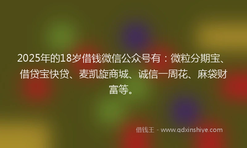 2025年的18岁借钱微信公众号有：微粒分期宝、借贷宝快贷、麦凯旋商城、诚信一周花、麻袋财富等。