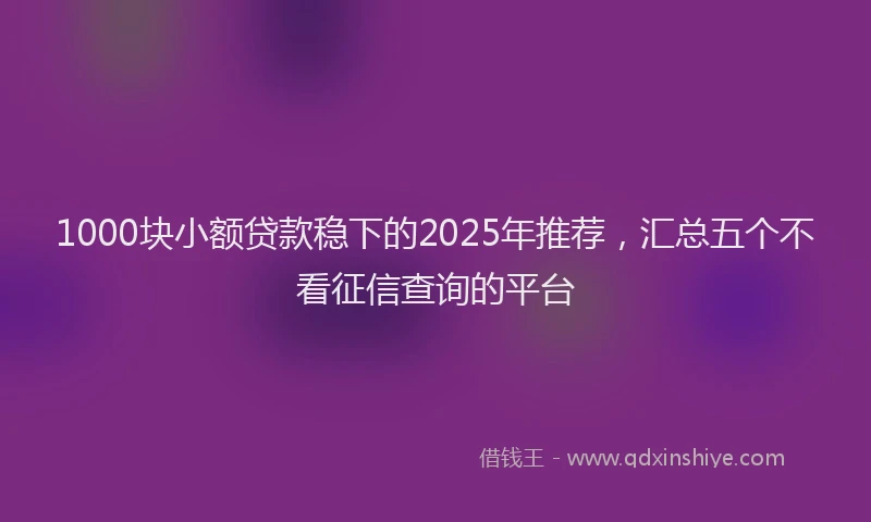 1000块小额贷款稳下的2025年推荐，汇总五个不看征信查询的平台
