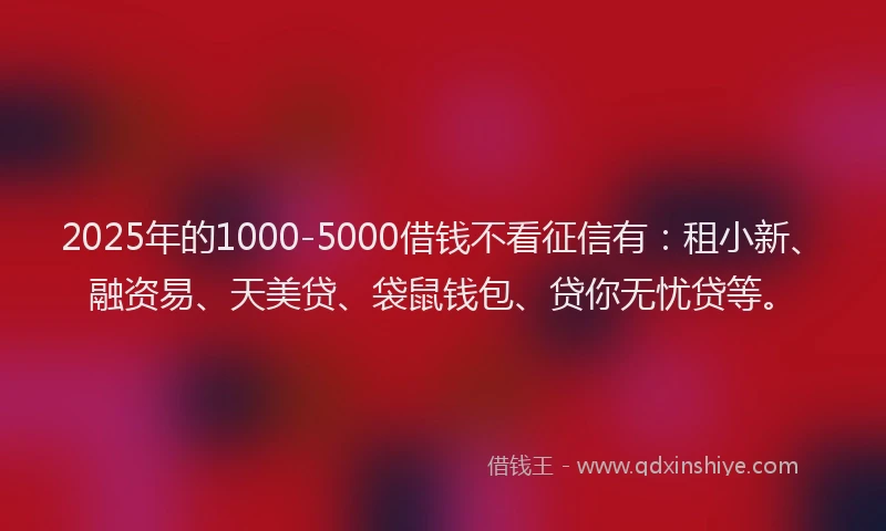 2025年的1000-5000借钱不看征信有：租小新、融资易、天美贷、袋鼠钱包、贷你无忧贷等。