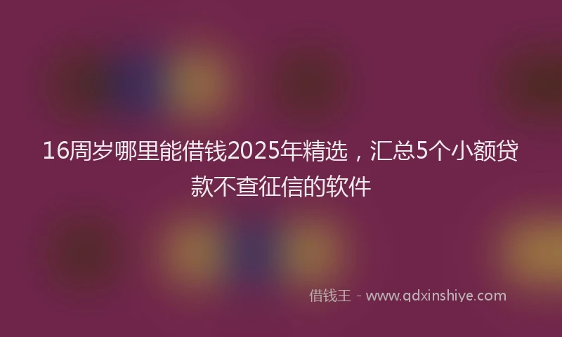 16周岁哪里能借钱2025年精选，汇总5个小额贷款不查征信的软件
