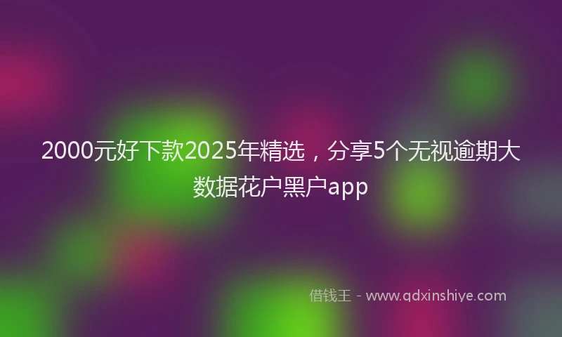 2000元好下款2025年精选，分享5个无视逾期大数据花户黑户app