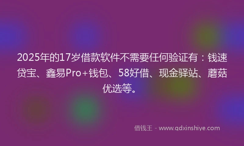 2025年的17岁借款软件不需要任何验证有：钱速贷宝、鑫易Pro+钱包、58好借、现金驿站、蘑菇优选等。