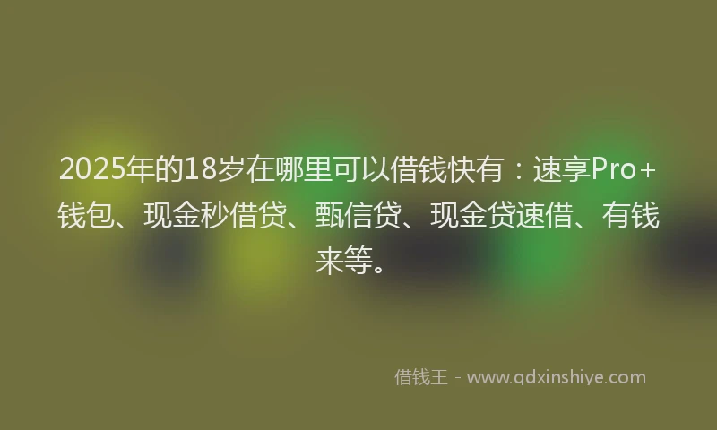 2025年的18岁在哪里可以借钱快有：速享Pro+钱包、现金秒借贷、甄信贷、现金贷速借、有钱来等。