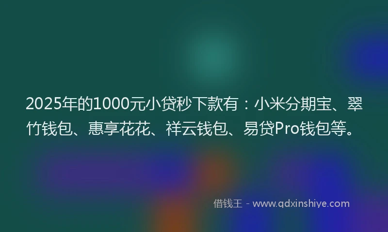 2025年的1000元小贷秒下款有：小米分期宝、翠竹钱包、惠享花花、祥云钱包、易贷Pro钱包等。