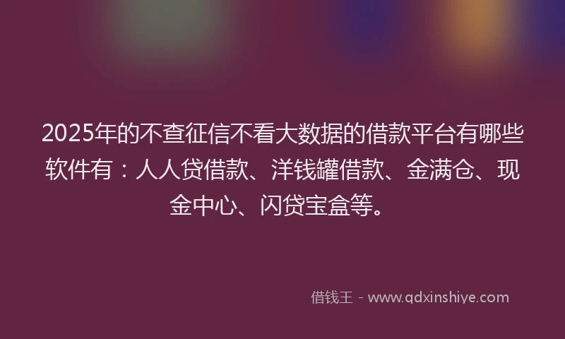 2025年的不查征信不看大数据的借款平台有哪些软件有：人人贷借款、洋钱罐借款、金满仓、现金中心、闪贷宝盒等。