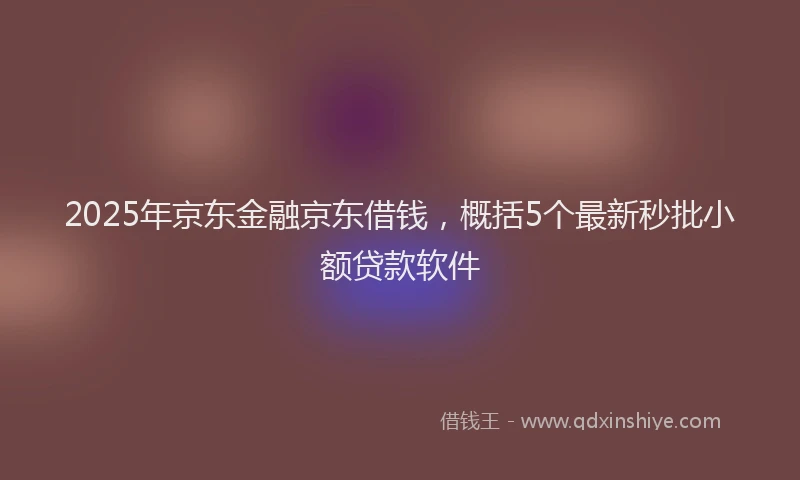 2025年京东金融京东借钱，概括5个最新秒批小额贷款软件