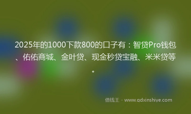 2025年的1000下款800的口子有：智贷Pro钱包、佑佑商城、金叶贷、现金秒贷宝融、米米贷等。