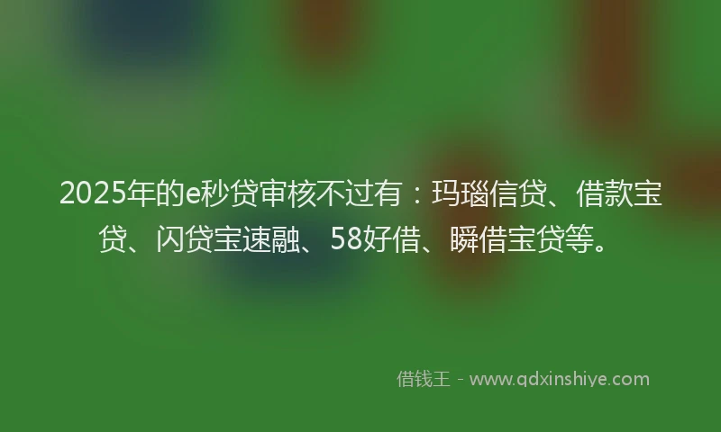 2025年的e秒贷审核不过有：玛瑙信贷、借款宝贷、闪贷宝速融、58好借、瞬借宝贷等。