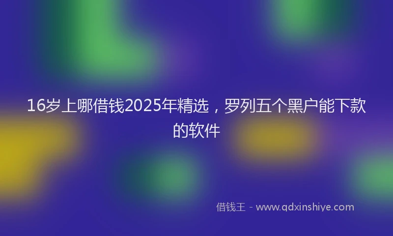 16岁上哪借钱2025年精选，罗列五个黑户能下款的软件