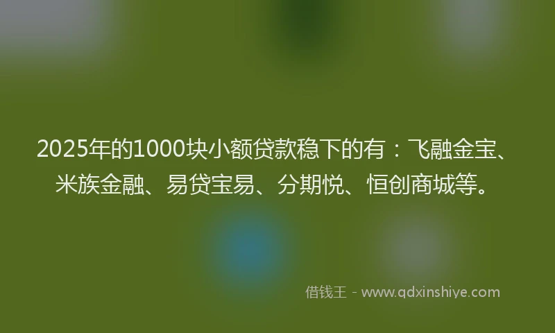 2025年的1000块小额贷款稳下的有：飞融金宝、米族金融、易贷宝易、分期悦、恒创商城等。