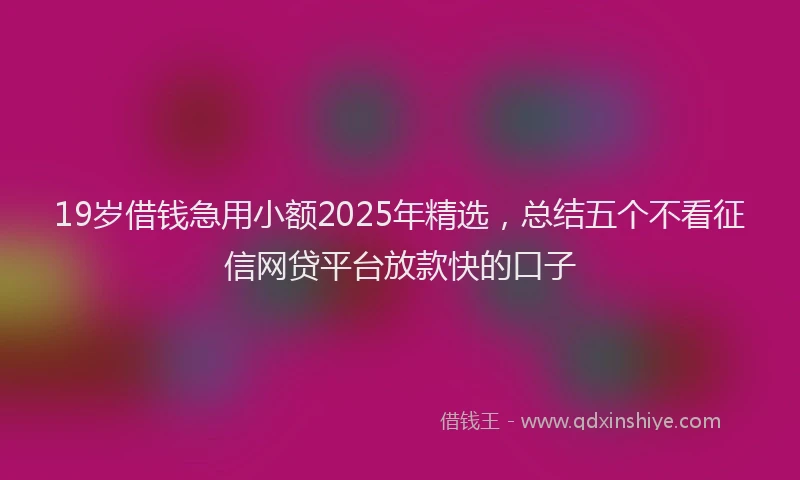 19岁借钱急用小额2025年精选，总结五个不看征信网贷平台放款快的口子