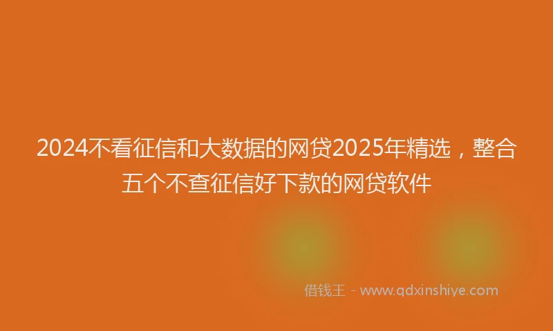 2024不看征信和大数据的网贷2025年精选，整合五个不查征信好下款的网贷软件