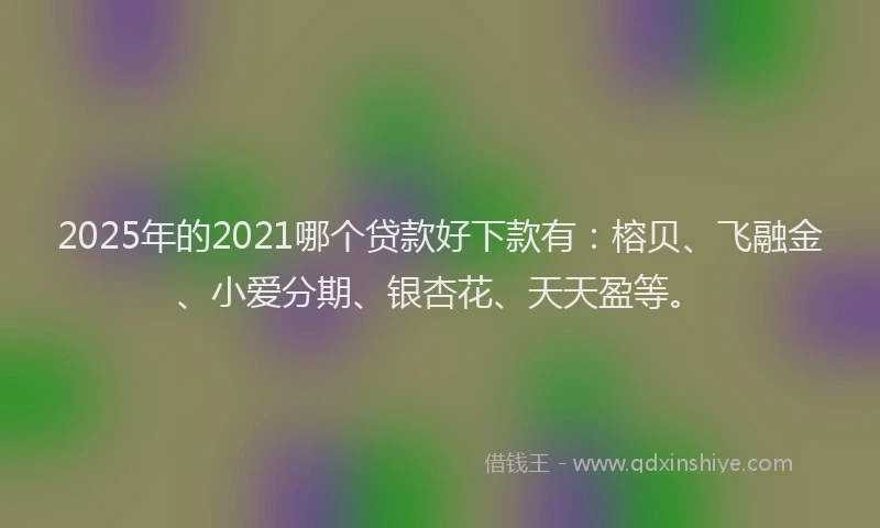 2025年的2021哪个贷款好下款有：榕贝、飞融金、小爱分期、银杏花、天天盈等。