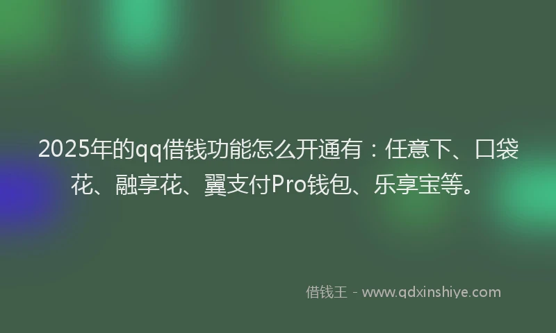 2025年的qq借钱功能怎么开通有：任意下、口袋花、融享花、翼支付Pro钱包、乐享宝等。