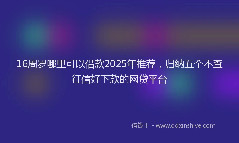 16周岁哪里可以借款2025年推荐，归纳五个不查征信好下款的网贷平台