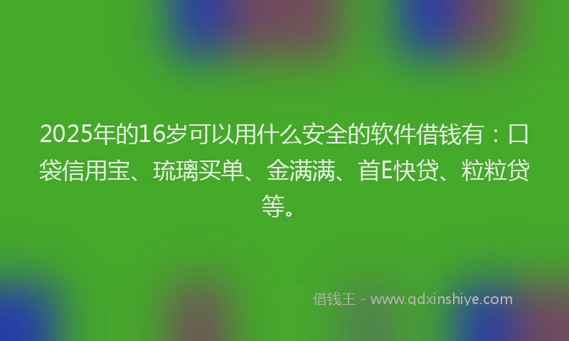 2025年的16岁可以用什么安全的软件借钱有：口袋信用宝、琉璃买单、金满满、首E快贷、粒粒贷等。