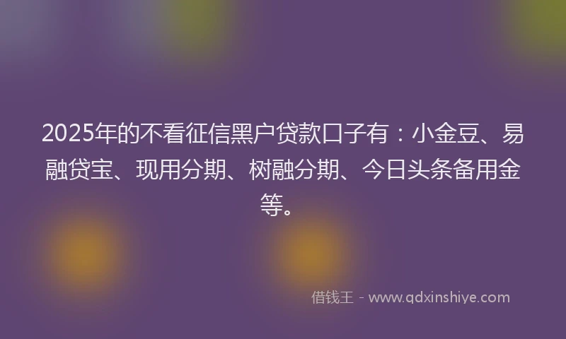 2025年的不看征信黑户贷款口子有：小金豆、易融贷宝、现用分期、树融分期、今日头条备用金等。