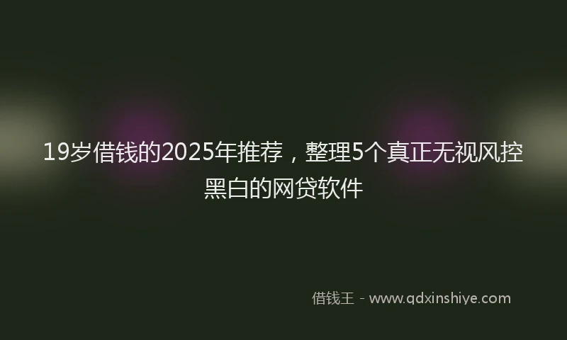 19岁借钱的2025年推荐，整理5个真正无视风控黑白的网贷软件