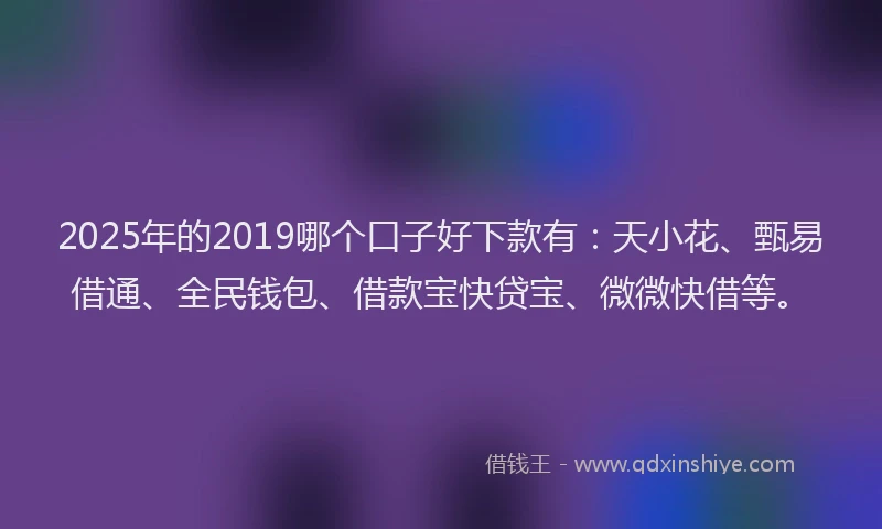 2025年的2019哪个口子好下款有：天小花、甄易借通、全民钱包、借款宝快贷宝、微微快借等。