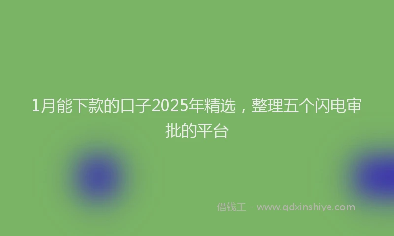 1月能下款的口子2025年精选，整理五个闪电审批的平台