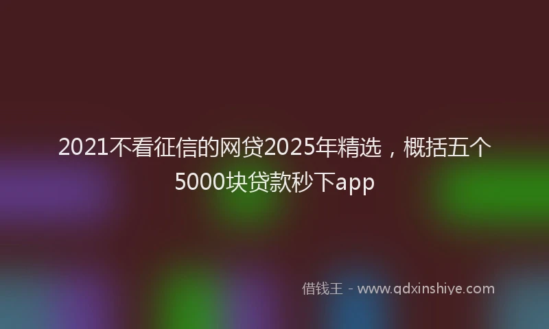 2021不看征信的网贷2025年精选，概括五个5000块贷款秒下app