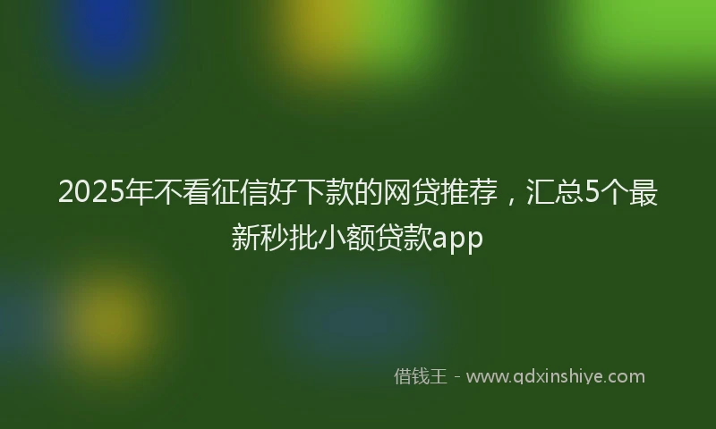 2025年不看征信好下款的网贷推荐，汇总5个最新秒批小额贷款app