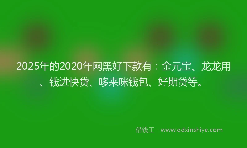 2025年的2020年网黑好下款有：金元宝、龙龙用、钱进快贷、哆来咪钱包、好期贷等。
