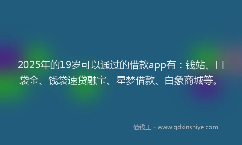 2025年的19岁可以通过的借款app有：钱站、口袋金、钱袋速贷融宝、星梦借款、白象商城等。