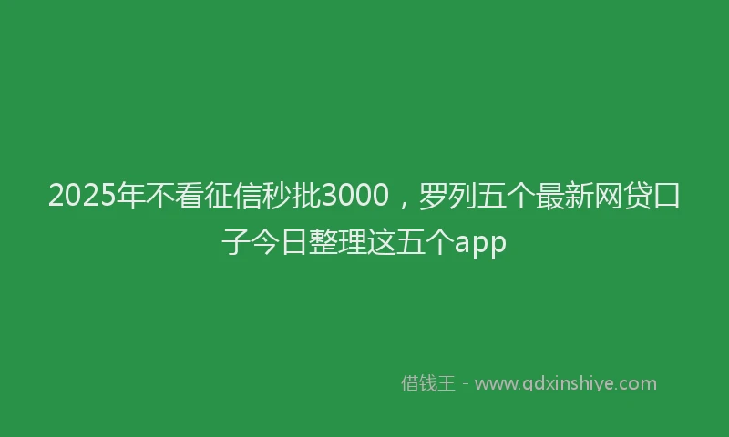 2025年不看征信秒批3000，罗列五个最新网贷口子今日整理这五个app