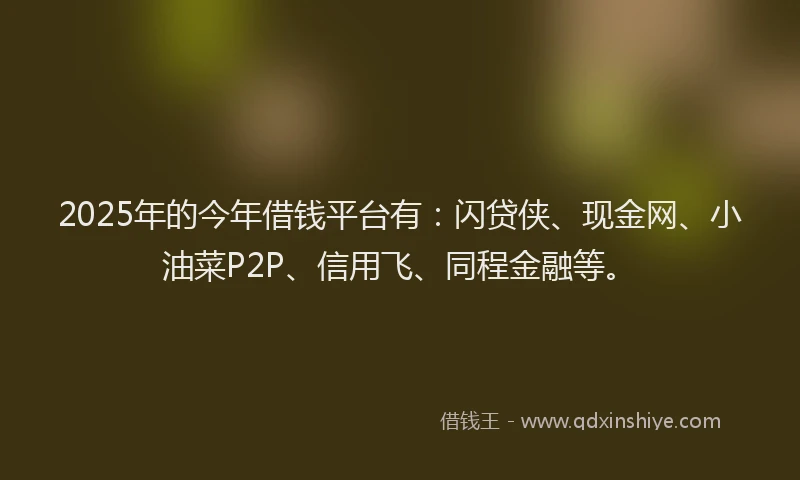 2025年的今年借钱平台有：闪贷侠、现金网、小油菜P2P、信用飞、同程金融等。