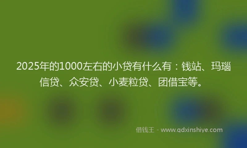 2025年的1000左右的小贷有什么有：钱站、玛瑙信贷、众安贷、小麦粒贷、团借宝等。