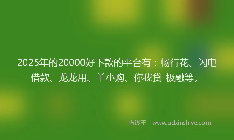 2025年的20000好下款的平台有：畅行花、闪电借款、龙龙用、羊小购、你我贷-极融等。